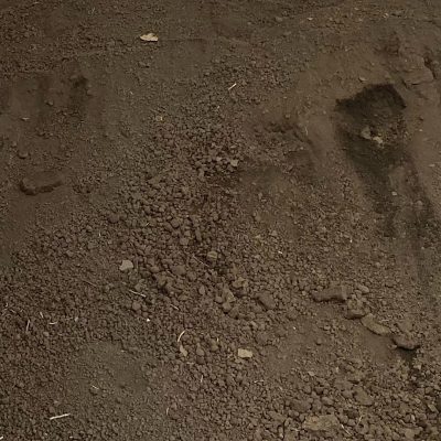 Pulverized Topsoil