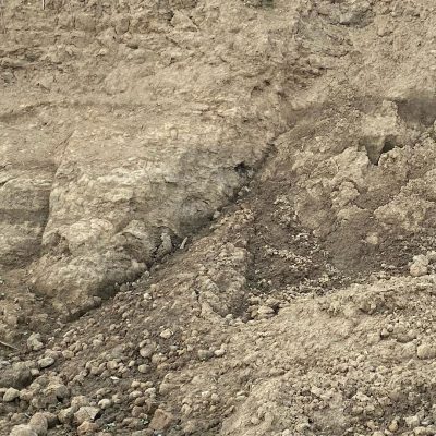 Standard Topsoil