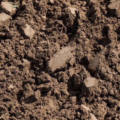 topsoil