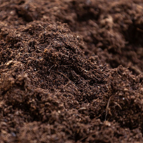 Topsoil